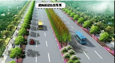 新万福路昨起栽梧桐(图)