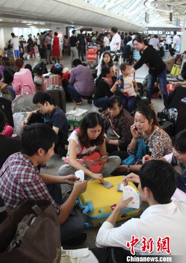 11月10日，受台风“海燕”影响，大量旅客滞留三亚凤凰机场。　尹海明　摄