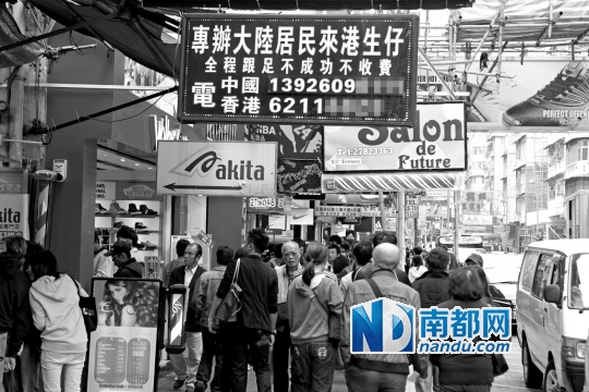 入境处由去年11月开始分析发现108宗通过假结婚赴港产子疑似个案,并检控8人。IC供图