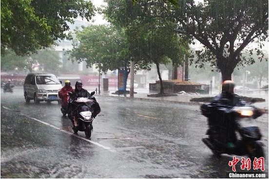   11月11日，广西北海街头，民众驾驶摩托车和汽车迎着强风暴雨出行