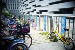 广州图书馆增设自行车免费停放区域。信息时报记者 徐敏 摄
