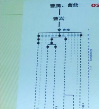 曹操家族dna引围观 染色体结果比对获认可(图)