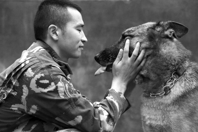 兵犬情深(图)