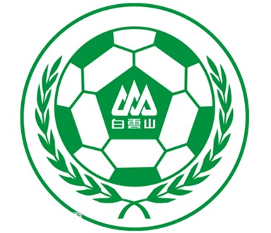 中国足球风雨60载 广州恒大问鼎亚冠(组图)