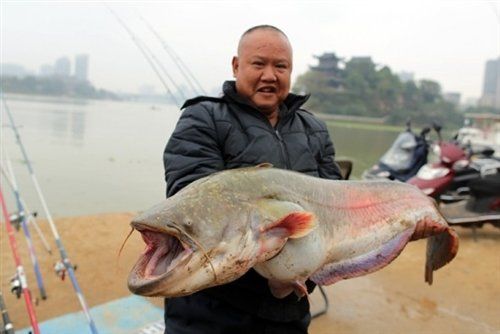 湖南：市民钓1米多长45斤大鱼(图)-搜狐新闻