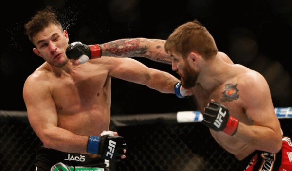 图文:[UFC]167期比赛精彩瞬间 皮尔兹重击对手-搜狐体育
