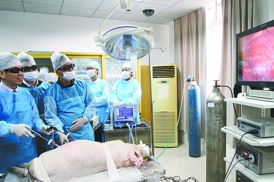 医生在猪身上试手3D手术(图)-中国学网-中国