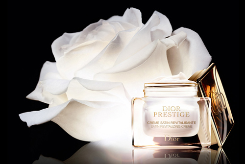 dior ۻ˿ϵ
