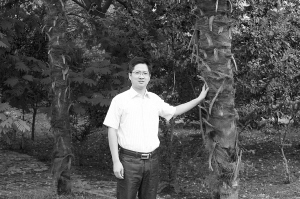 王伟东