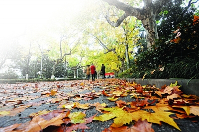 西北强劲冷风吹走浓雾细雨 南京云开霾散,今天最低只有4℃(组图)