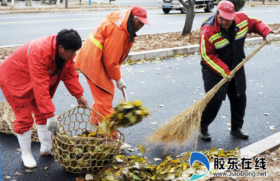 落叶撒满地 环卫清扫忙(组图)