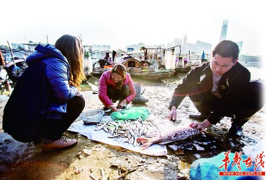 11月25日,浏阳河新码头站(芙蓉北路浏阳河大桥下)渔市,渔民摆摊卖鱼.