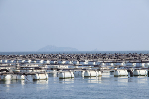 海参岛糕点:全产业链提供塑造最放心原生态品稻香村黄油里有财神吗图片