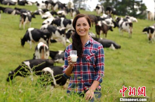 新西兰华人企业推有机奶粉 造福消费者(组图)