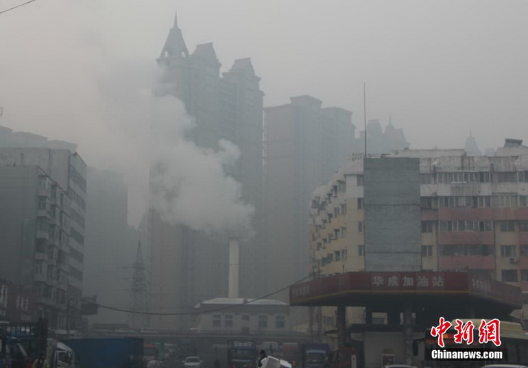 【组图】哈尔滨再陷"浓雾围城"发大雾橙色预警 能见度极低(组图)