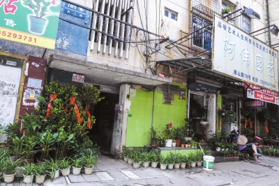 今年8月，当年于英生妻子被杀案发生地—蚌埠市南山路一处临街一楼的三室一厅—目前已经成为一个花店。京华时报记者朱嘉磊摄