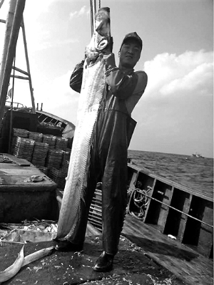 渔民捕获“带鱼王”