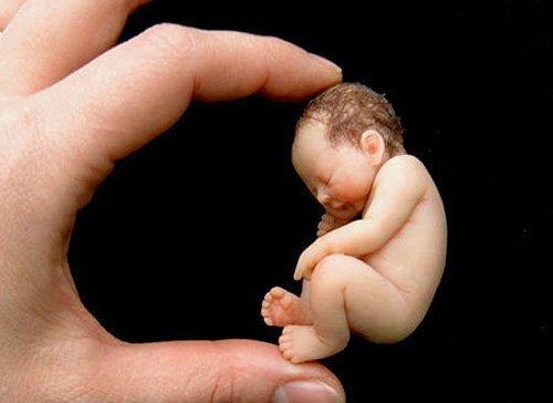 世界最小的婴儿