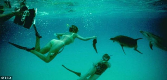 研究人员在水底成功与海豚实现了“交流”。