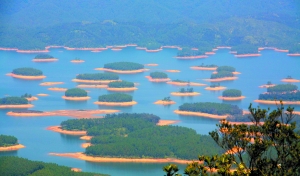 台山凤凰峡的小千岛湖.