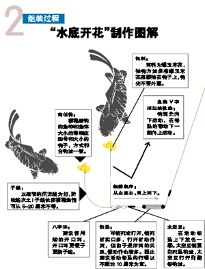 掌握水底开花,让你钓好草鱼(图)