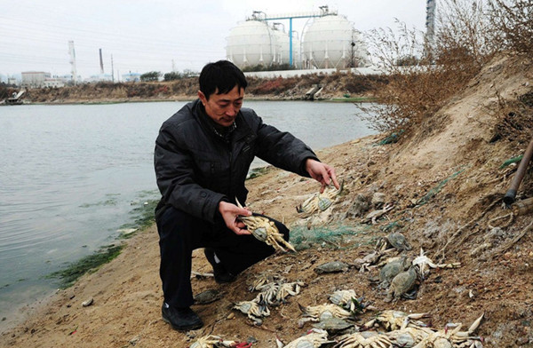 中石化事故满月:海洋污染显现 鱼虾大量死亡