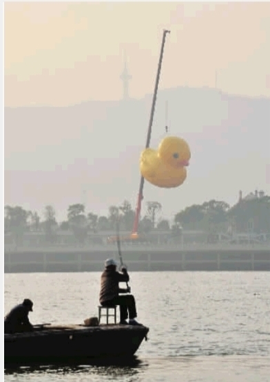 12月22日,长沙市橘子洲,一只大黄鸭被起重机吊起来,而江中小船上垂钓