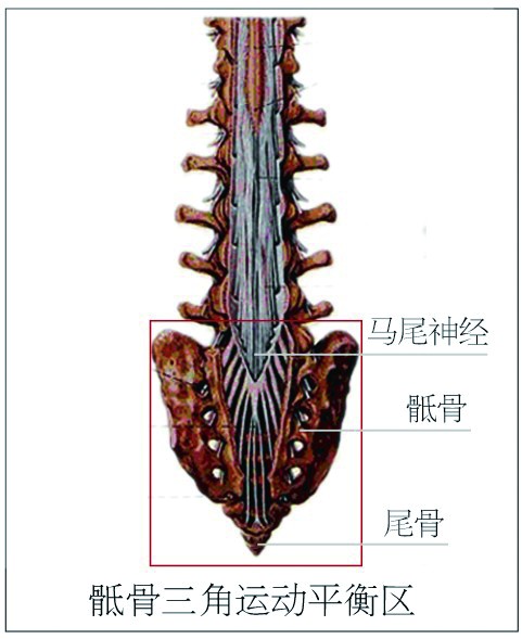 下床走稳一小步,偏瘫康复一大步(组图)