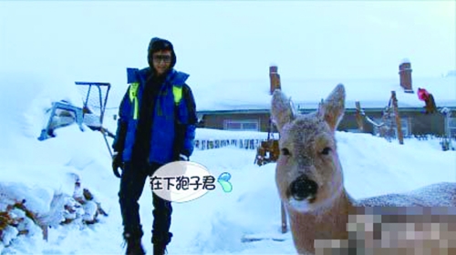 在第11集《爸爸去哪儿》中,萌娃和爸爸们来到冰天雪地的东北。田亮父女抢到的房间中有一只狍子,字幕组为它起名“狍子君”。狍子拥有呆萌的外表、傻乎乎的性格,瞬间爆红网络。