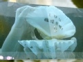 《恋爱的那点事儿》片尾曲《承认》MV