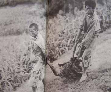 1936年四川饥荒:死尸肉卖500文 活人肉1200文