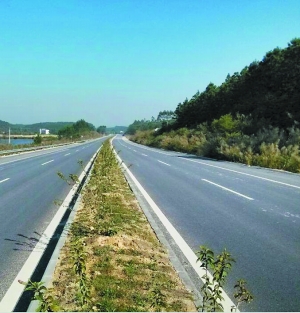 省道s273高铜线一级公路改建工程高明黄象至版村段第四标段路面工程