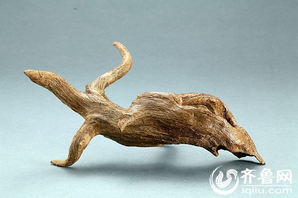 中国沉香文化展亮相山东博物馆 迄今规模最大的沉香展