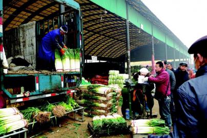 西安朱雀农产品批发市场内多种蔬菜投放元旦市