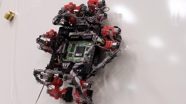 科学家试验壁虎机器人可用于清洁太空船