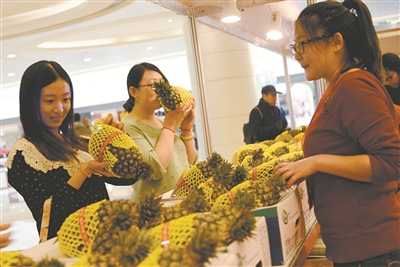 渤海早報訊 (記者馬根)昨日,“天津臺灣觀光特產嘉年華會”在銀河國際購物中心舉行。
