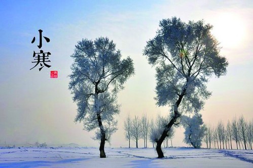 今入小寒回归冬天本来样子 下周初有雨雪天气-搜狐苏州