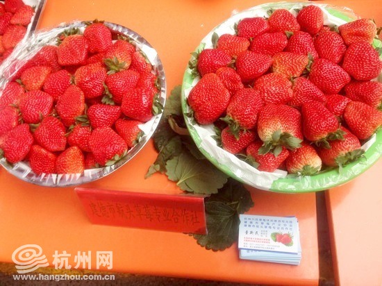 建德新安江草莓节开幕 今年新增网购草莓(组图