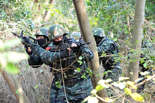 【组图】厦门武警特战队举行山林地反恐实战演练(组图)