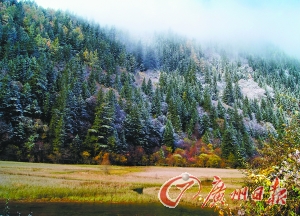 ľկ