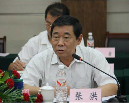 湖北省委原副秘书长张洪违纪被终止人大代表资