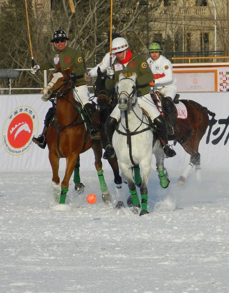 图文:2014雪地马球世界杯 墨西哥队员控球