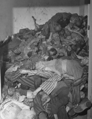 这是一组拍摄于二战时期德军纳粹集中营内部的旧照片,真实揭示了纳粹