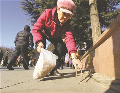 "烟头大姐"10个月捡3万烟头- 走红老太说:"啥大姐啊,我今年都73岁了"