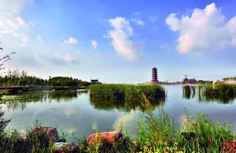 浩渺水面,摇曳芦苇,群鸟嬉戏…… 进入1月份,尽管天气寒冷,但胶州少海