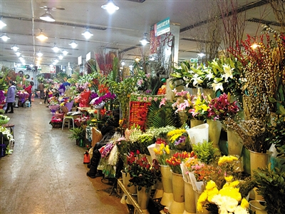 1月14日下午，亮马花卉市场一层，许多商户正在等待顾客光临。