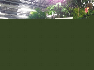 为了减少损失,莱太花卉商城商户张宏翔在自己的绿植上挂着“换货甩卖”的牌子。