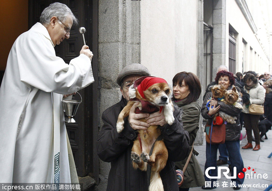 西班牙民众带宠物去圣安东尼教堂外接受牧师赐