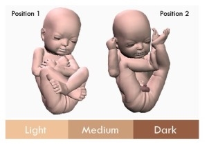 3D打印胎兒模型：讓孕婦與腹中寶寶提前“見面”