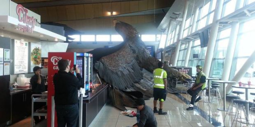 在惠灵顿机场，一座巨大的鹰雕像被震落。